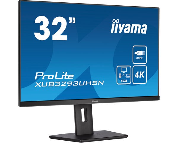 TFT 31,5"/80,0cm iiyama ProLite XUB3293UHSN *schwarz* KVM-Switch, USB-C-Dock und LAN Anschluß