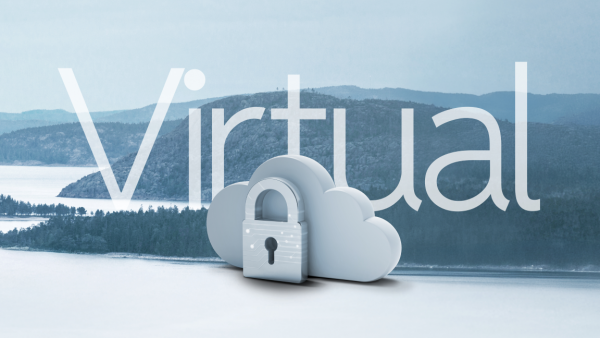 Clavister NetEye 50V Premium Services, Yearly