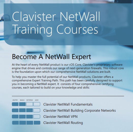 Clavister Online Training + Lab - 1 person 1 day courses