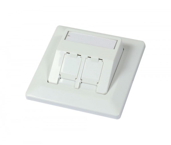 Dosen TP,UP,2-fach(27Grad Auslass für Runde Unterputzdosen),CAT6A, Keystone Slim-line mit Kabelklemme, Reinweiss, Synergy 21,