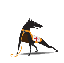 RUCKUS Networks watchdog support end user for zonedirector 1205 1 jahr