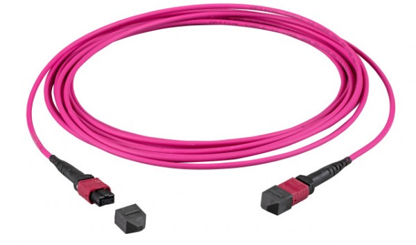 LWL-MTP®-Female Patchkabel OM4 LowLoss, 24 Faser, Typ A 1:1, erika-violett, 5m