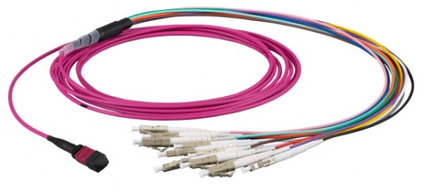LWL-MTP®-Female-LC Patchkabel OM4 LowLoss, 12 Faser(Fanout,Pin1-12)-&gt; 6xLC duplex, 1m, 50/125u,