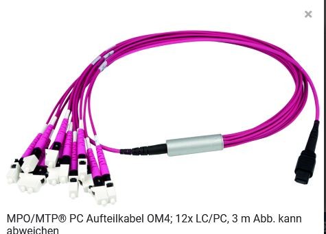 Telegärtner, MPO Harness 12x2,1mm OM4 12LC MM