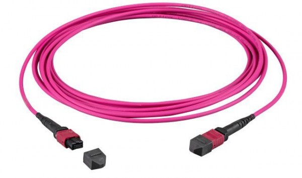LWL-MTP®-Female Patchkabel OM4 LowLoss, 24 Faser, Typ A 1:1, erika-violett, 20m